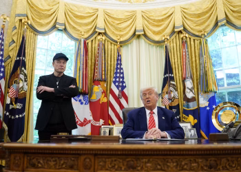 Donald trump elon musk