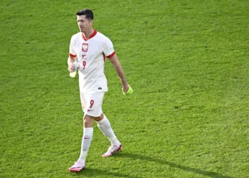 Euro 2024 poland v austria