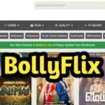 Bollyflix 2026: Ultimate Destination for Bollywood Movies & TV Shows