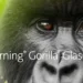 Corning gorilla glass 7i