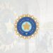 BCCI Earns ₹9,741 Cr: IPL Revenue Shocks Cricket World!
