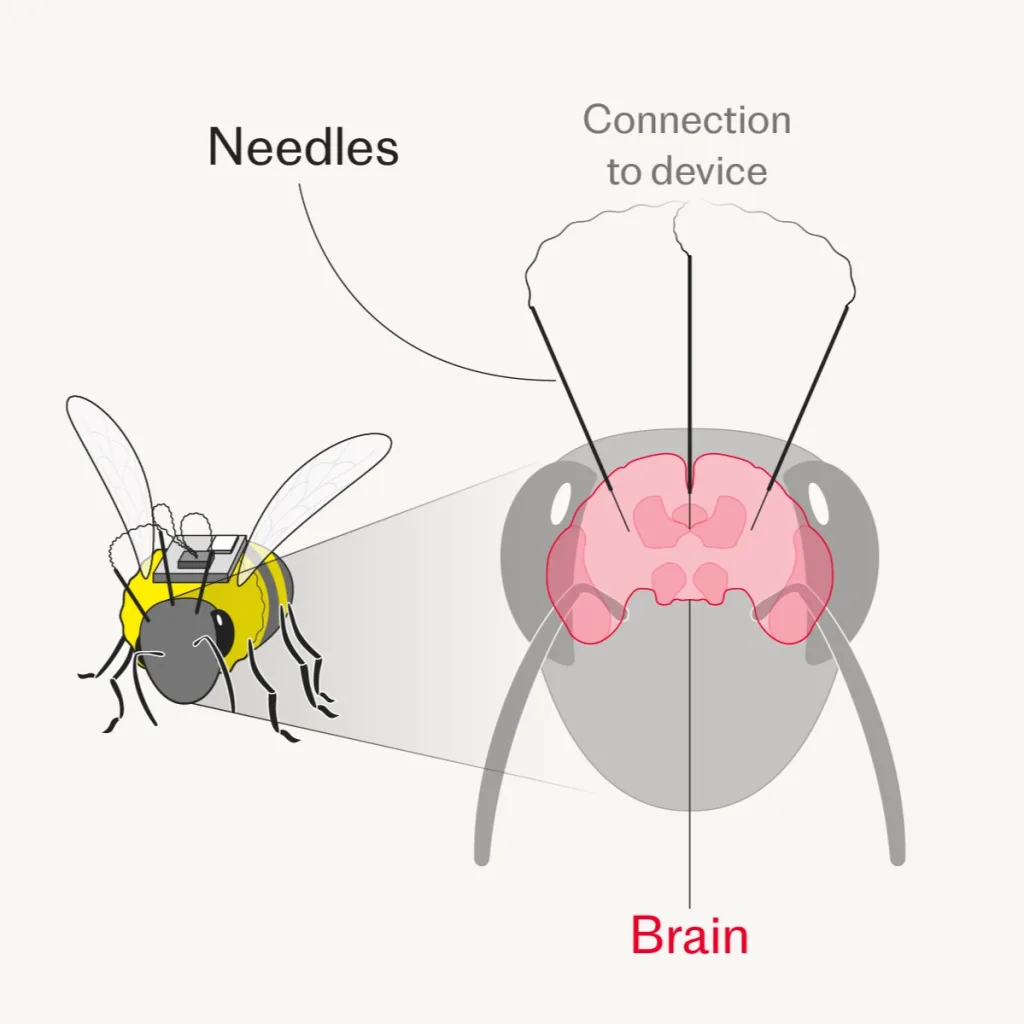 China's cyborg army 2