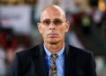Stephen constantine