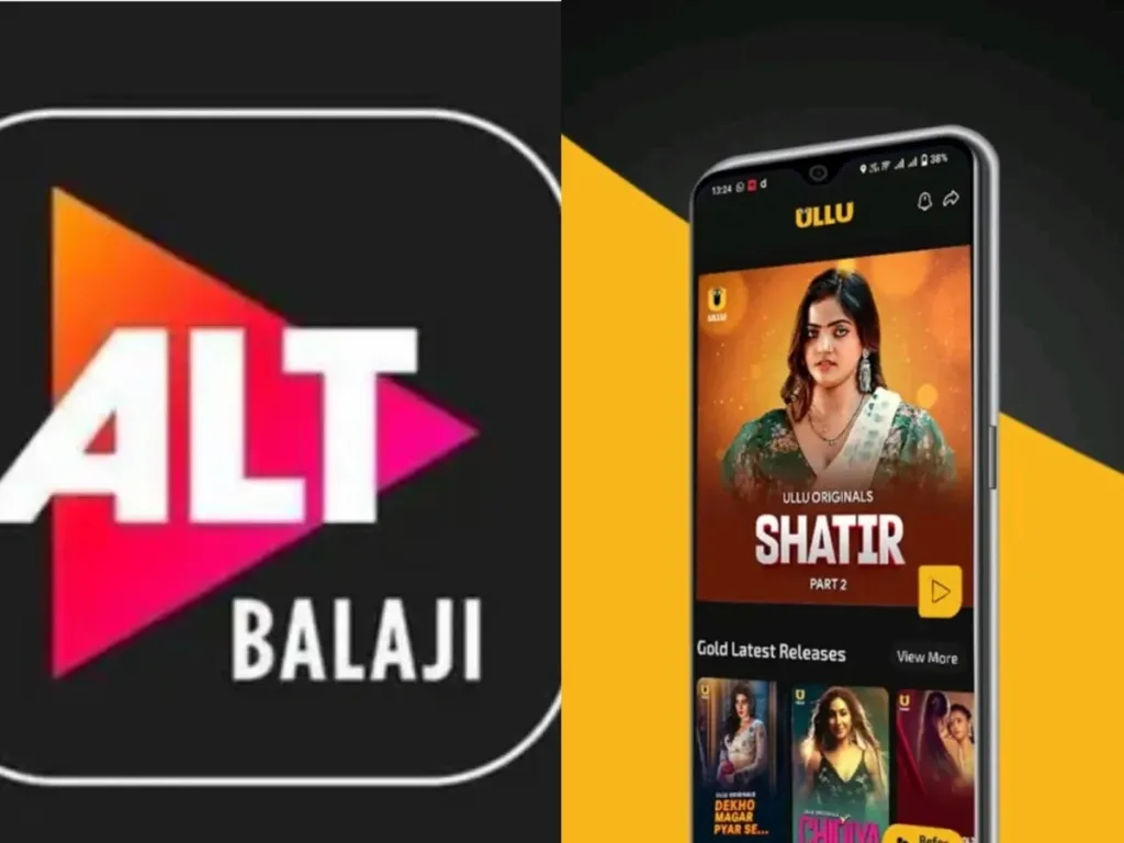 India Bans 25 OTT Platforms Including ALTBalaji & ULLU: A Digital Content Crackdown 2 Image