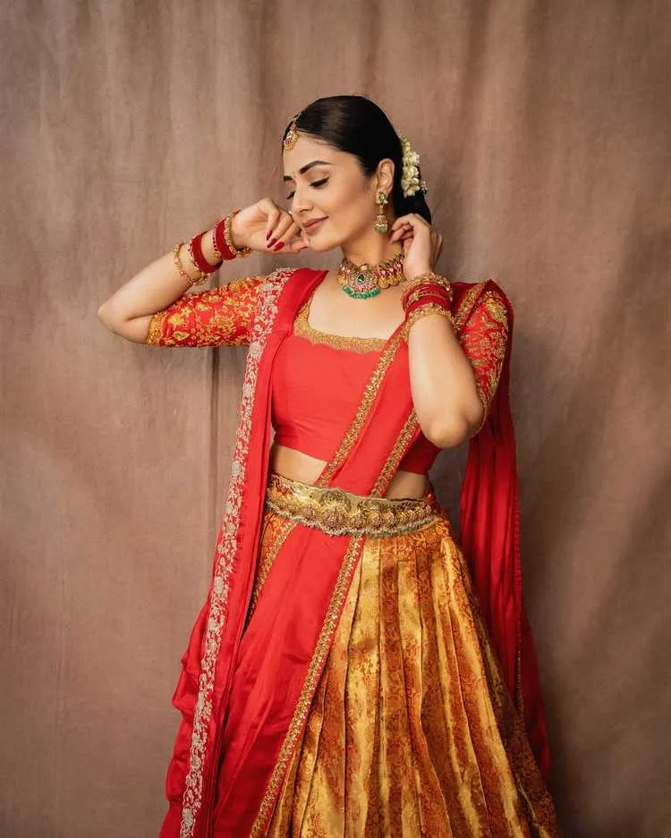 Sreemukhi: From TV Anchor to Bigg Boss Runner-Up - A Complete Career Journey 2 Image