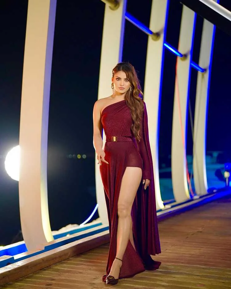 Urvashi Rautela 2025: From Daaku Maharaaj Success to Hollywood Dreams 5 Image