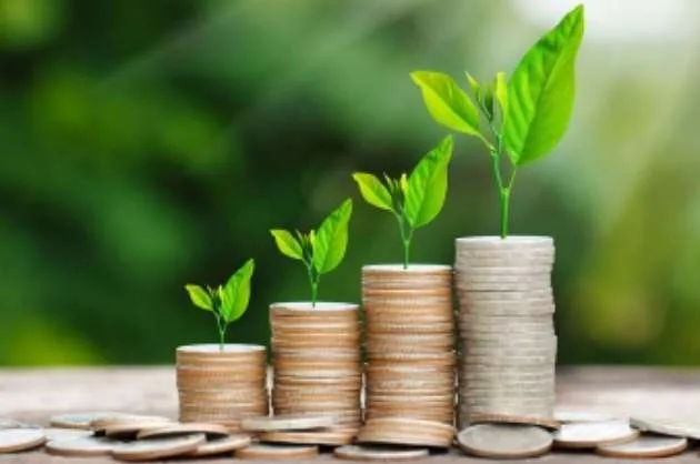 Safex Chemicals Files