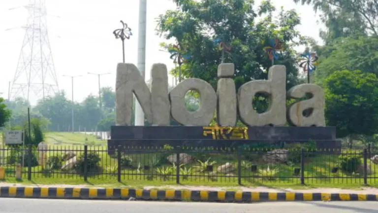 Noiidds
