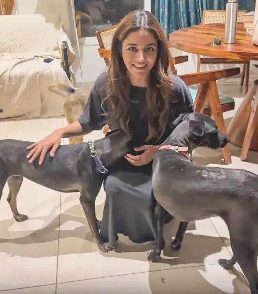 Wamiqa Gabbi Champions Stray Dogs Amid Supreme Court Order: "They Are My Family" 2 Image