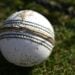 Cricket