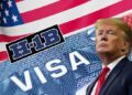 Trump h1b visa