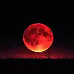Blood Moon Rising: India Witnesses Spectacular Lunar Eclipse Tonight – Don’t Miss This Rare Celestial Show!