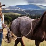 Heartland Secures Netflix Extension: Season 17 & 18 Release Dates Finally Confirmed