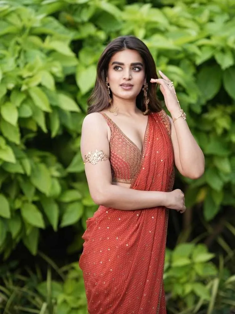 Nidhi Agerwal's Big 2025: From Hari Hara Veera Mallu to The Raja Saab - A Career Revival 8 Image
