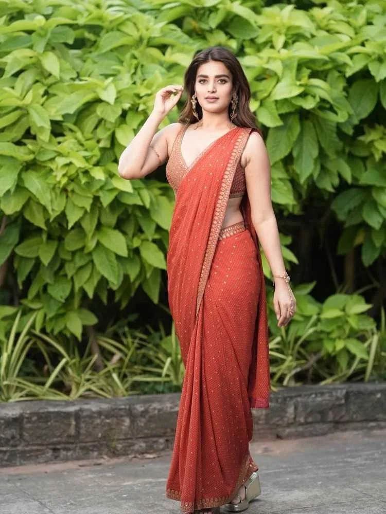Nidhi Agerwal's Big 2025: From Hari Hara Veera Mallu to The Raja Saab - A Career Revival 6 Image