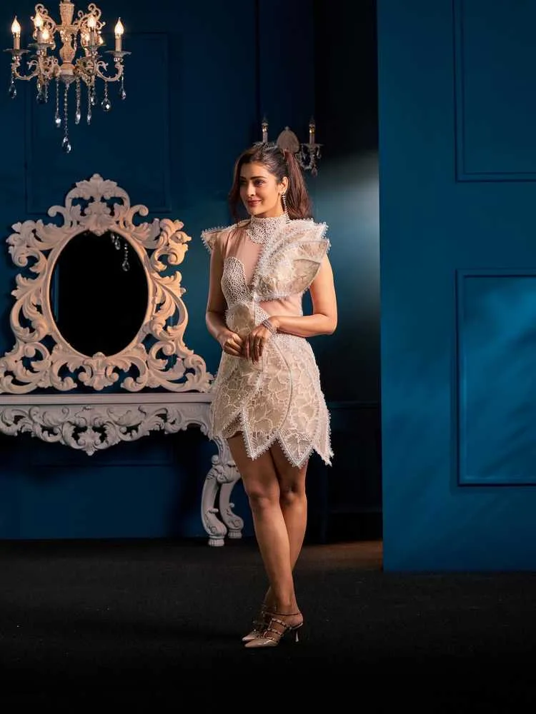 Payal Rajput: From Television to Silver Screen Success - The Rising Star's Journey 2 Image