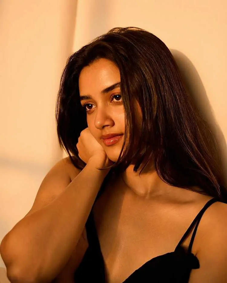 Bhagyashri Borse: From Model to Telugu Cinema's Most In-Demand Actress 2 Image