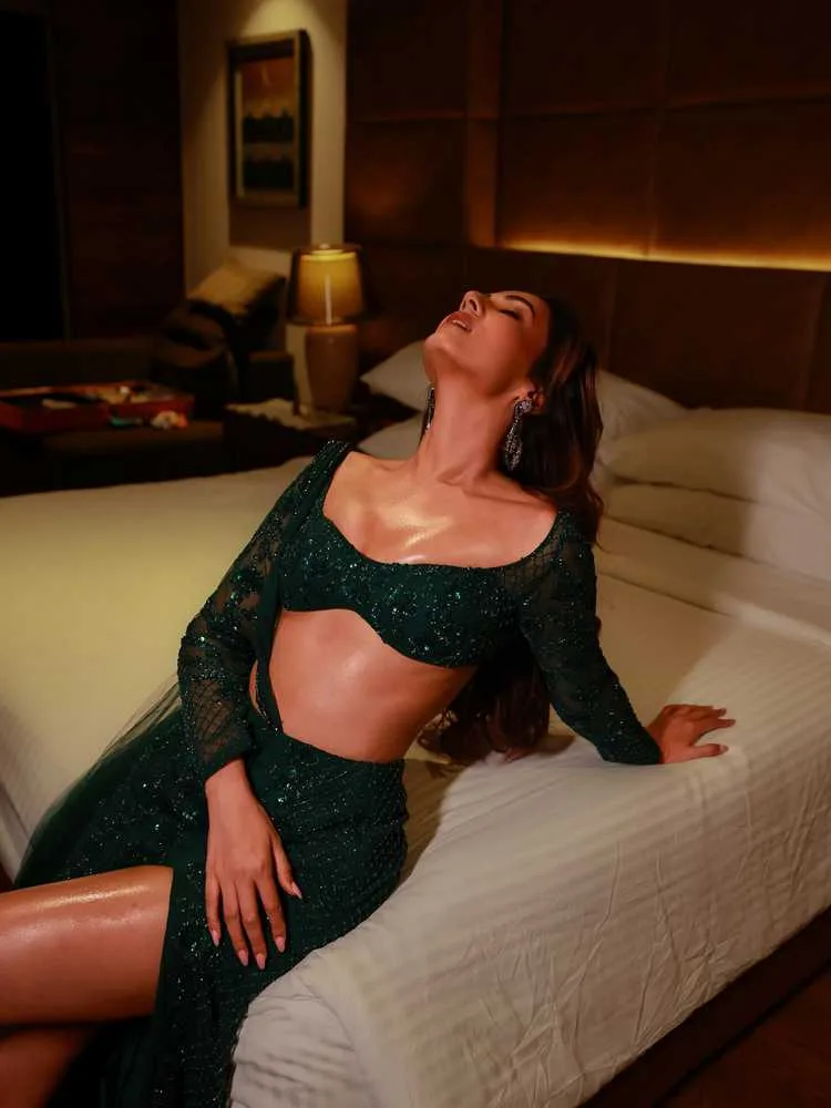 Sonal Chauhan in 2025: From Beauty Queen to Pan-Indian Cinema Star 4 Image