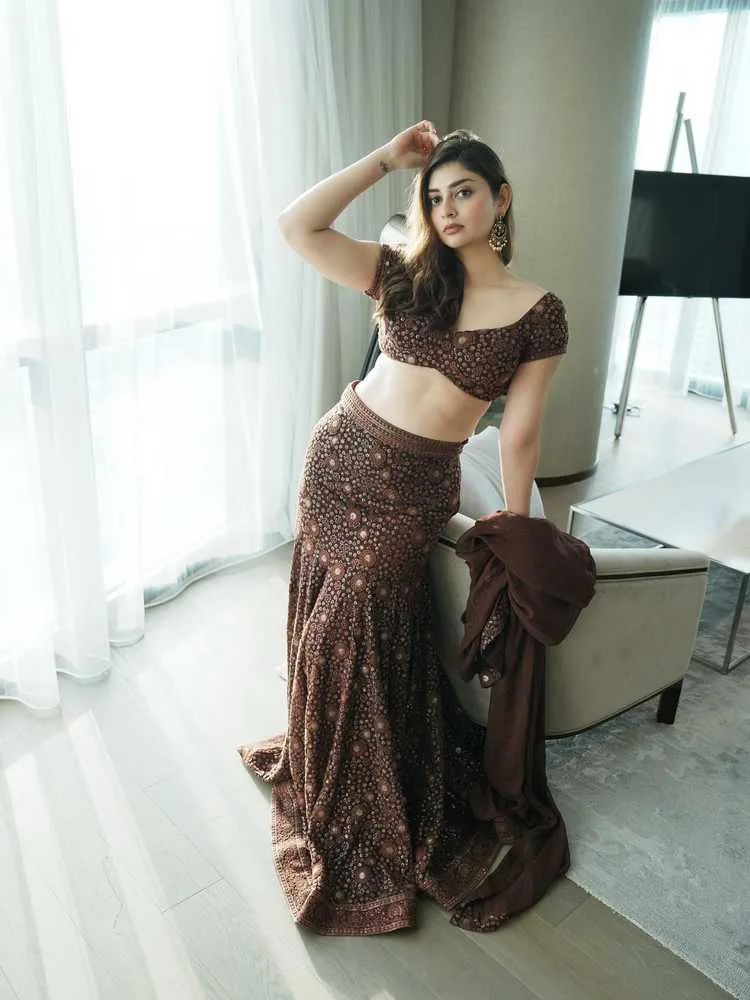 Nazia Davison's Latest Photo Gallery: Dilruba Actress Captivates Fans with Stunning New Photoshoot 6 Image
