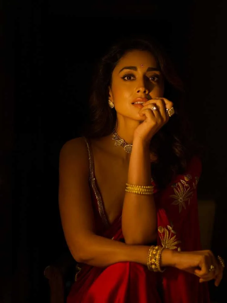 Shriya Saran: Grace, Talent, and Timeless Charm in Indian Cinema 2 Image