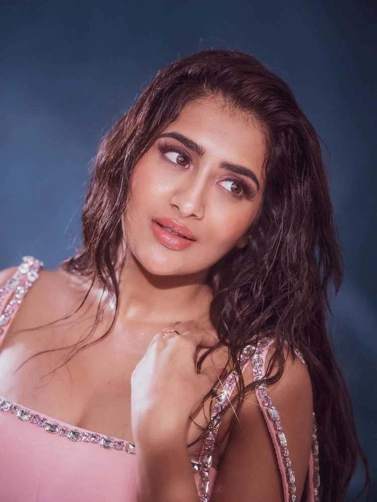 Rashi Singh: From Air Hostess to Telugu Cinema's Rising Star in 2025 9 Image