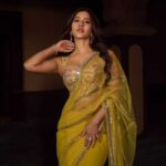 Nabha Natesh: From Engineering Student to iSmart Beauty of South Cinema