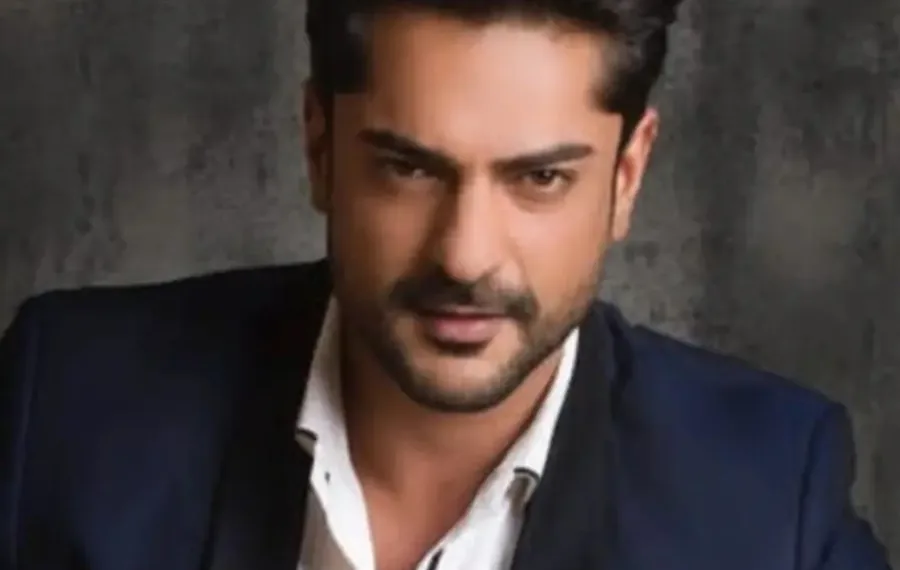 TV Actor Ashish Kapoor Arrested in Pune: What We Know About the Rape Case