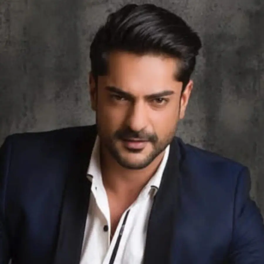 TV Actor Ashish Kapoor Arrested in Pune: What We Know About the Rape Case