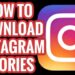How to Save and Download Instagram Stories using MyStorySaver downloader