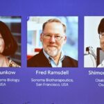 Medicine Nobel Prize 2025: Awarded for Groundbreaking Immune System Discovery