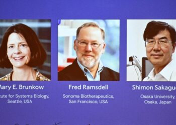 Medicine nobel prize 2025