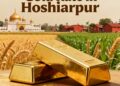 Gold Rate in Hoshiarpur