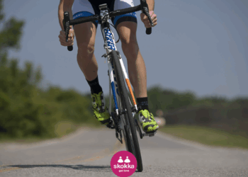 Extreme sports, adrenaline, and unforgettable encounters