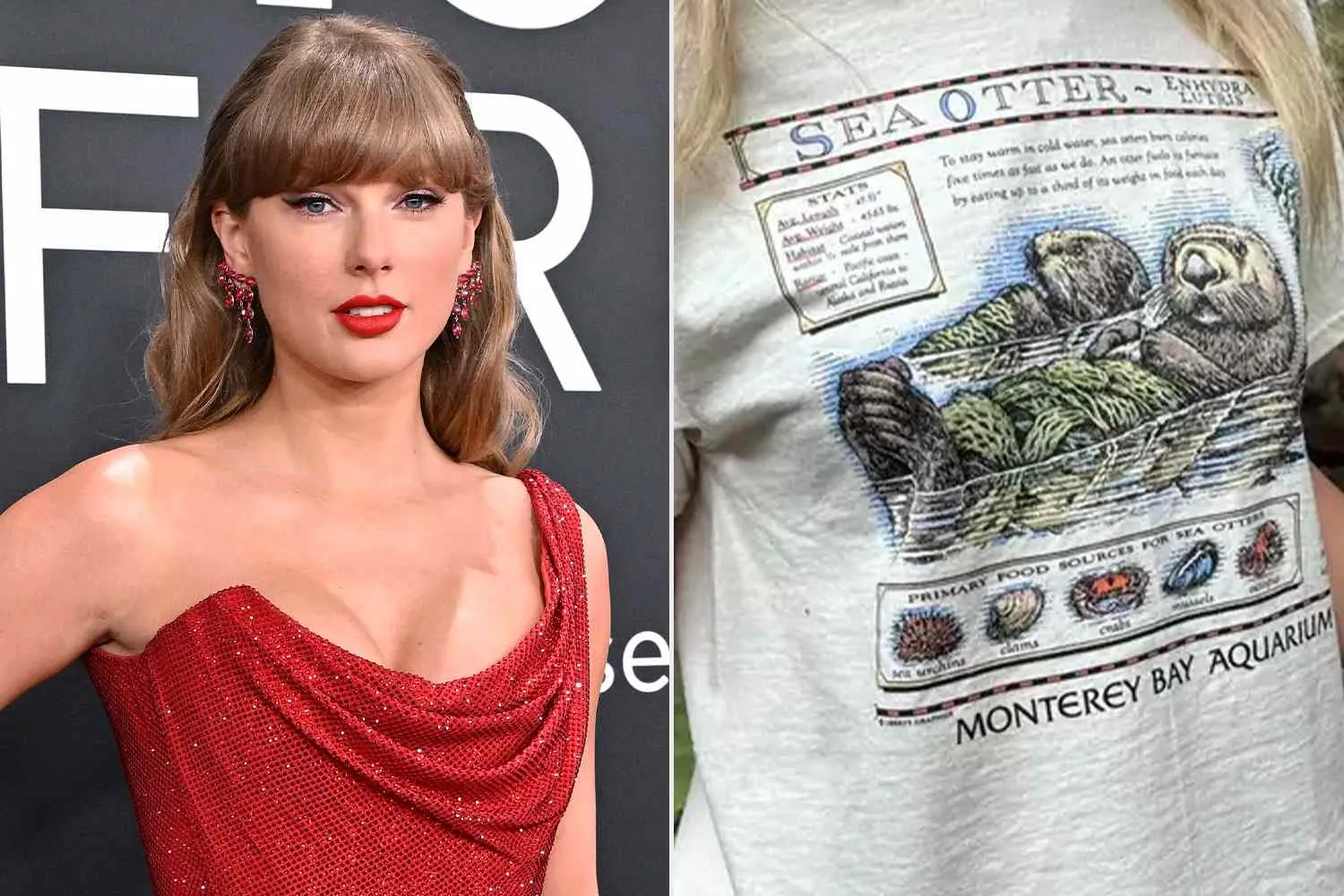 Taylor Swift’s Otter T-Shirt Creates $2.3M Fundraiser for Sea Animals: Here’s What Happened