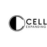 Cellecor Posts ₹641.5 Cr Sales, 35% Profit Growth in H1 FY26