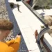 GTA Online