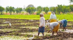 Farmers Day