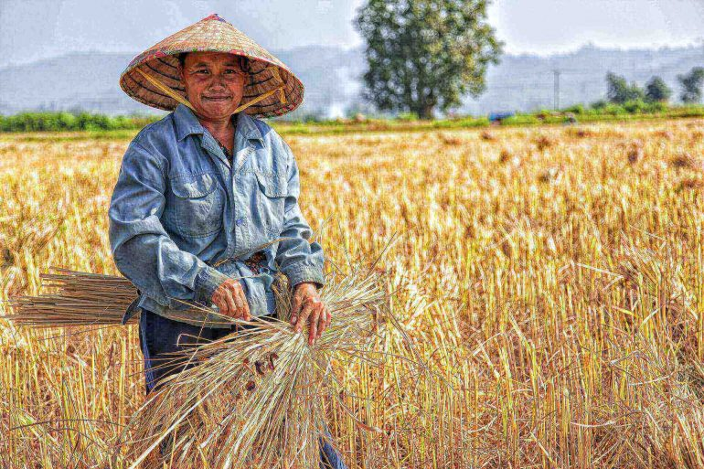 Farmers Day