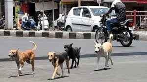 Delhi 