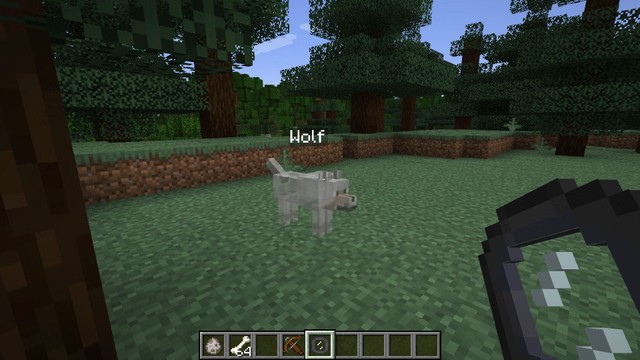 Minecraft