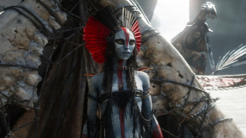 Avatar