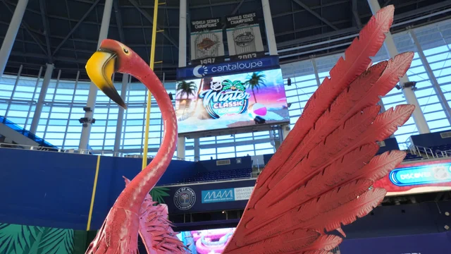 NHL