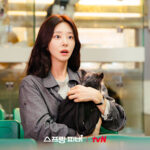 Spring Fever Drama Preview: Yoon Bom’s Desperate Plea Changes Everything