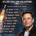 Top 10 Most Valuable Private Companies: SpaceX Leads at $1.25T