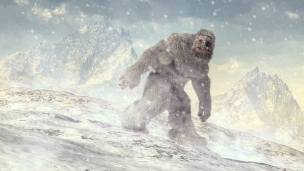 Yeti