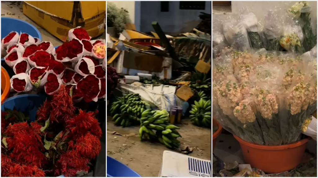 Virosh