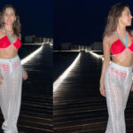 Bold Nushrat Bharucha Age, Height, Bio, Career, Net Worth, Income and Family in 2026