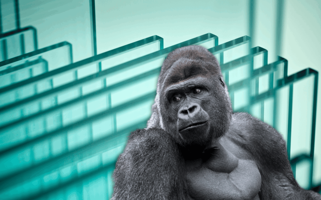 Gorilla Glass Ceramic 3
