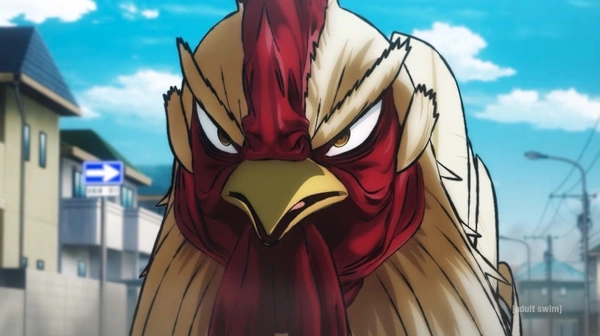 Rooster Fighter
