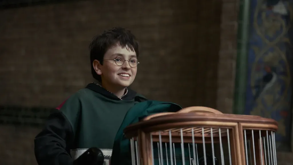 Harry Potter
